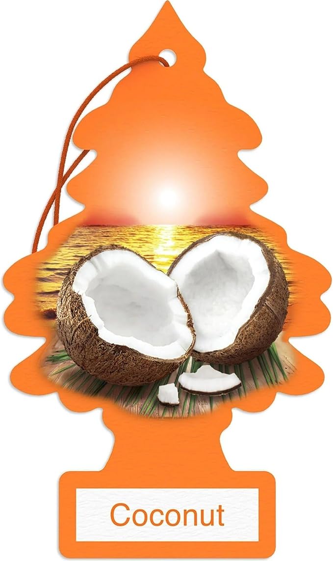 Pro Detailing Hack: Little Trees Coconut 24pk | CARtharsis : Premium Auto Detailing & Tech
