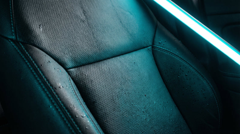 Leather Cleaners & Conditioners | CARtharsis