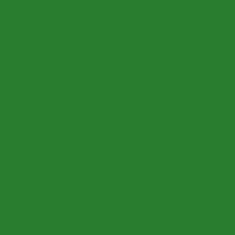 Dupli-Color Multi-Purpose Enamel, Gloss, Leaf Green, 12 oz