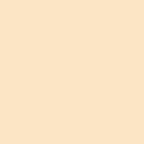 Thick Set Pigmented High Gloss Polyaspartic Sealer 180 (Fast Set) (Ivory, 1 Gallon)