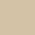 Thick Set Pigmented High Gloss Polyaspartic Sealer 180 (Fast Set) (Sun Buff, 1 Gallon)
