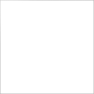 Dupli-Color Multi-Purpose Enamel, Gloss, White, 12