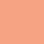 Thick Set Pigmented High Gloss Polyaspartic Sealer 180 (Fast Set) (Coral, 1 Gallon)