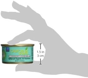 California Scents Spillproof Can Air Freshener Eco-Friendly Odor Neutralizer for Home, Car, Much More, Desert Jasmine, 1.5 oz, 12 Pack