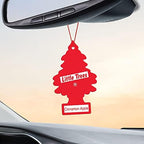 LITTLE TREES Car Air Freshener | Hanging Tree Provides Long Lasting Scent for Auto and Home | 24 Air Fresheners |Cinnamon Apple