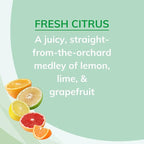 Citrus Magic Odor Absorbing Solid Air Freshener, Fresh Citrus, 20-Ounce, Pack of 2