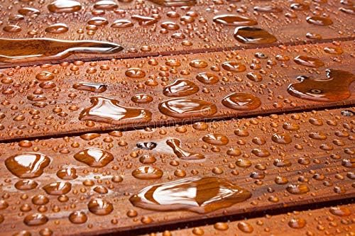 Skidmore's Premium Beeswax Waterproofing | Natural and Non-Toxic Formula Prevents and Protects Your Leather and Wood from Water Damage | Made in USA | 6 Oz