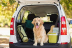 CARPRO SO2Pure 2.0 Odor Eliminator - Neutralize Odors, Cigarette Smoke, Exhaust, Chemical Smell or VOCs, Even Pet Smells from Car Fabric & Plastic, Use on Any Surface, Anywhere - Liter (34oz)