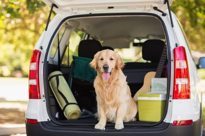 CARPRO SO2Pure 2.0 Odor Eliminator - Neutralize Odors, Cigarette Smoke, Exhaust, Chemical Smell or VOCs, Even Pet Smells from Car Fabric & Plastic, Use on Any Surface, Anywhere - Liter (34oz)