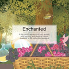 LITTLE TREES Car Air Freshener | Hanging Tree Provides Long Lasting Scent for Auto and Home | Enchanted, 24 Air Fresheners