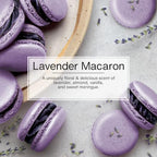 LITTLE TREES Car Air Freshener | Hanging Tree Provides Long Lasting Scent for Auto and Home | 24 Air Fresheners |Lavender Macaron