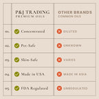 P&J Fragrance Oil Holiday Set for Christmas Home Decor | Mistletoe, Candy Cane, Wintermint, Apple Cider, Cranberry, and Forest Pine Candle Scents for Candle Making, Soap Making, Diffuser Oil Scent