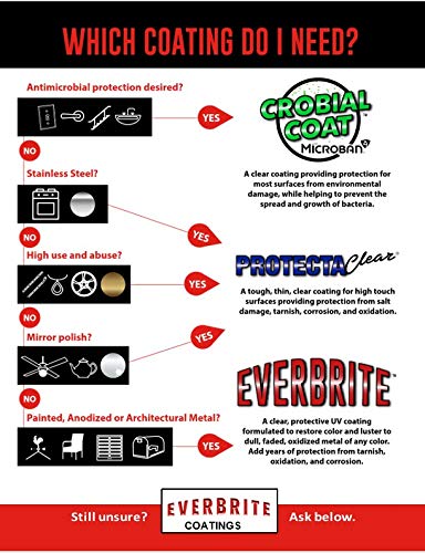 Everbrite 16 Oz. Clear, Protective Coating for Metal