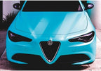 3M Car Wrap Roll 2080 Satin Key West | S57 | (5ft x 10ft (50 Sq/ft)) | Automotive Vinyl Wrap for Cars - Car Interior Wrap & Exterior | w/Free Instawraps Pro Glove