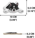 WIRESTER Hanging Air Freshener for Car, Home, Bathroom, Office, Decorative Charm Ornaments, Boston Terrier Dog Lying Down Looking Up