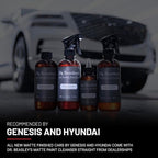 Dr. Beasley's Matte Paint Cleanser - Easily Removes Grease & Heavy Dirt, Droppings, Tree Sap from Autos. Safe On All Matte Surfaces, Preserves The Look for Satin & Glossy Paint, 32 oz