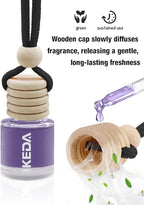 Ikeda Car Air Freshener: Hanging Car Smell Air Freshener | 10ml Hanging Car Perfume | Long Lasting Fragrance | Strong Scents Diffuser for Auto Home (Black ice|Circular)