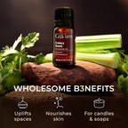 100% Pure Celery Seed Essential Oil - 0.34 Fl Oz - Celery Seed Oil for Hair, Skin, Diffuser, Aromatherapy & DIY Candle Making Scent
