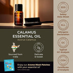 100% Pure Calamus Essential Oil - 0.34 Fl Oz - Calamus Oil for Hair, Skin, Diffuser, Aromatherapy & DIY Candle Making Scent
