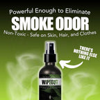 Chronic Wipeout Smoke Odor Eliminator Spray For Strong Odor - Highly Effective for Deodorizing Homes, Clothes, Cars, Office, Hands, & Hair from Smoke Smells - 1 16 oz Bottle Bamboo Teak Fragrance