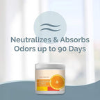 SMELLS BEGONE 15oz Gel Odor Eliminator - Absorb & Remove Tough Odors in Pet Areas, Bathrooms, Basements, Garage, Cars, RVs & Boats - Eliminate Odors Quickly (15 Ounce (Pack of 2), Energizing Citrus)
