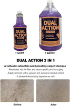 Dual Action Carpet & Bonnet Shampoo, Deodorizing, Carpet Extraction, 1 Gal