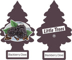 Little Trees DAS-17343 Car Air Freshener | Hanging Paper Tree for Home or Car | Blackberry Clove