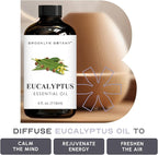 Brooklyn Botany Eucalyptus Essential Oil - Huge 4 Fl Oz - 100% Pure and Natural - Premium Grade with Dropper - for Aromatherapy and Diffuser