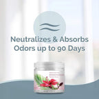 SMELLS BEGONE 14oz Crystal Odor Eliminator - Absorb & Eliminate Odors in Homes, Offices, Bathrooms, Basements, Garage, Cars, RVs & Boats - Remove Tough Odors (Hawaiian Breeze, 2-Pack)