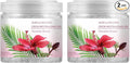 SMELLS BEGONE 14oz Crystal Odor Eliminator - Absorb & Eliminate Odors in Homes, Offices, Bathrooms, Basements, Garage, Cars, RVs & Boats - Remove Tough Odors (Hawaiian Breeze, 2-Pack)