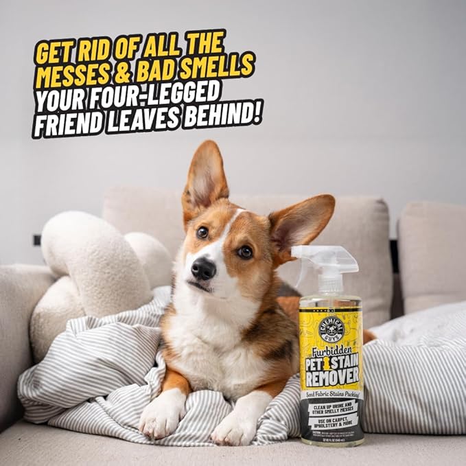 Chemical Guys Pet Mess Cleaning Kit, Furbidden Odor Eliminator 16 oz with Interior Detailing Brush Cleans, Pet Smells, Hair and Light Dirt for Cars Trucks SUVs Home Interiors and Upholstery Care