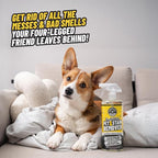 Chemical Guys Pet Mess Cleaning Kit, Furbidden Odor Eliminator 16 oz with Interior Detailing Brush Cleans, Pet Smells, Hair and Light Dirt for Cars Trucks SUVs Home Interiors and Upholstery Care