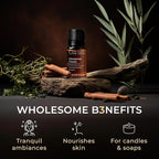 100% Pure Cinnamon Cassia Essential Oil - 0.34 Fl Oz - Cinnamon Cassia Oil for Hair, Skin, Diffuser, Aromatherapy & DIY Candle Making Scent