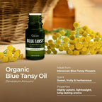 100% Pure Blue Tansy Essential Oil - 0.17 Fl Oz - Blue Tansy Oil for Hair, Skin, Diffuser, Aromatherapy & DIY Candle Making Scent