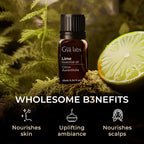 100% Pure Lime Essential Oil - 0.34 Fl Oz - Lime Oil for Hair, Skin, Diffuser, Aromatherapy & DIY Candle Making Scent