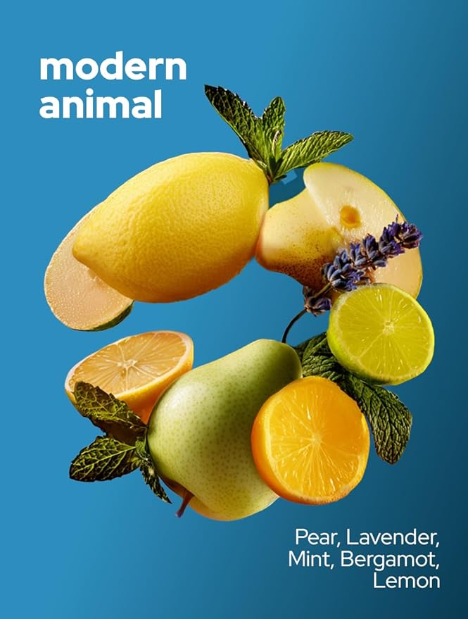 Vilicci Modern Animal Car Air Freshener | Long-Lasting Scent (Up to 120 Days) | Vegan, Cruelty-Free Hanging Car Diffuser
