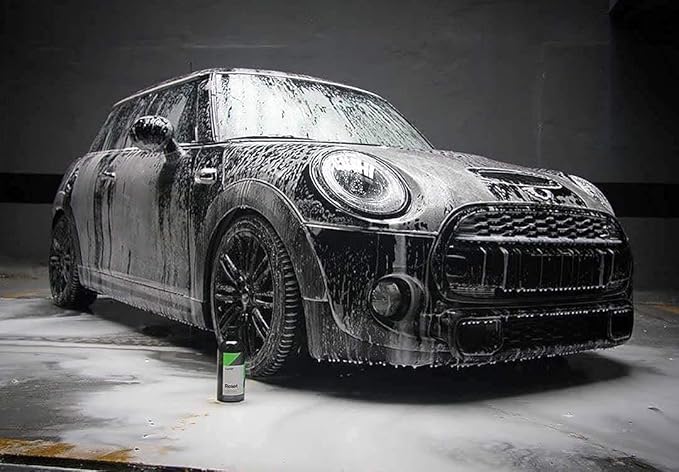 CARPRO Reset - Intensive Car Shampoo Wash 1 Liter, Perfect Partner to Nanotechnology Based Sealants and Coatings XL Detailing Brush 1 1/2 Diameter - Bundle