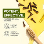 100% Pure Clove Essential Oil - 4 Fl Oz - Clove Oil for Hair, Skin, Diffuser, Aromatherapy & DIY Candle Making Scent