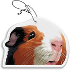WIRESTER Hanging Air Freshener for Car, Home, Bathroom, Office, Decorative Charm Ornaments, Black White Brown Guinea Pig