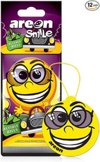 AREON ASD25 Air freshener Hanging Beverly Hills Scent, Best Odor Eliminator, Odd Gifts, Paper Hanging Ornaments, Long Lasting Scent for Car or Home -12 Pack