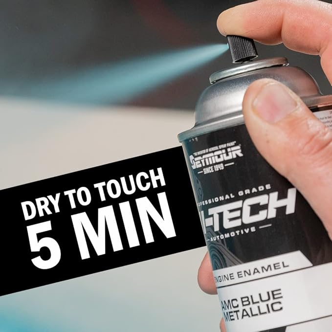Seymour EN-48 Hi-Tech Engine Spray Paint, Chevy Orange 12 Ounce (Pack of 1)
