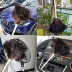 Feather Duster, Ostrich Feather Duster Ddzmz Fluffy Natural Genuine Ostrich Feathers and Reusable Wooden Long Handle Large Ostrich Feather Duster Cleaning for Housewife Black Length 16" 1Pack