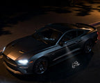 2Pcs Sided Mirror Cute Kitten Pattern Welcome Light Ground Light Puddle Lamp Assembly, LED HD Never Fades Replacement Light, for 2013-2024 Mustang Welcome Light Models
