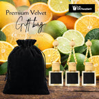 Gift Paradise® Citrus Sunshine Car Air Freshener Set of 3 (10 ml Each) – Hanging Diffuser Bottles with Wooden Cap, Fresh Lemon Orange Citrus Scent for Car, Home & Office, Long-Lasting Summer Fragrance