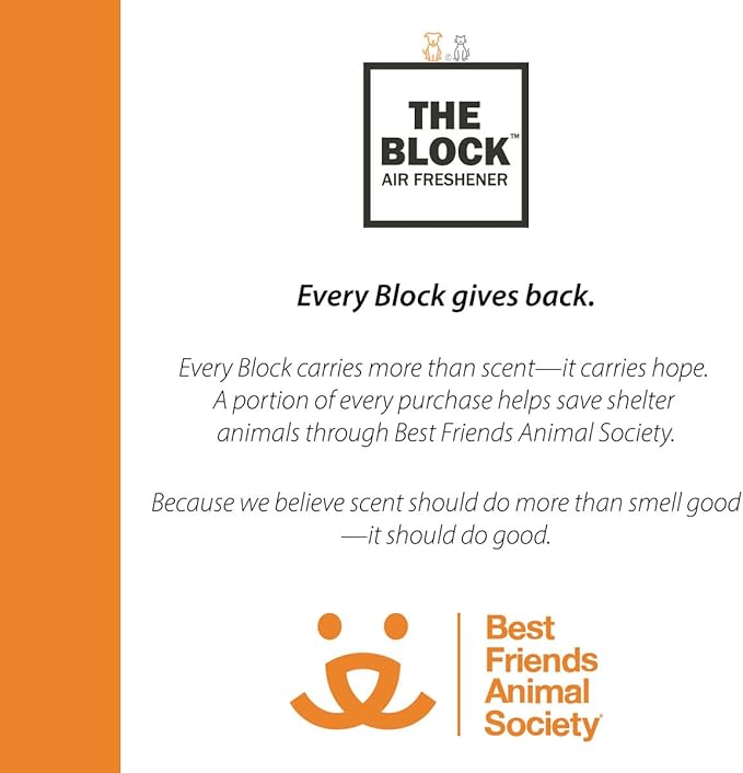 The Block - Wooden Car Air Freshener & Odor Eliminator - Long Lasting 30+ Day Scent - Car & Home Use - Fresh Gift Idea - Made in USA - Citrus Overdrive