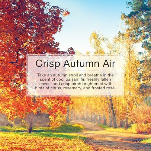 LITTLE TREES Car Air Freshener | Hanging Tree Provides Long Lasting Scent for Auto and Home | Crisp Autumn Air, 24 Air Fresheners