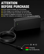 UL Listed 54.6V 2A eBike Charger for 48V Lithium Battery Compatible with 48V Lectric XP 1.0/2.0/3.0,Lectric XPremium, DC 5.5-2.1mm Bicycle Battery Charger Power Adapter