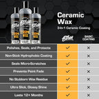 Ceramic Wash, Wax and Seal Kit