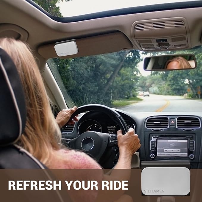 Car Air Freshener, Stone Air Freshener, Automotive Odor Eliminator for Visor Clip- Car Fresheners Long Lasting - CLIP INCLUDED (Pine/Starter Kit)