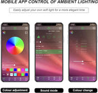 Interior Car LED Strip Lights with APP Control, 3 in 1 RGB Ambient Lighting Kit with 197 inches Fiber Optic, 16 Million Colors Music Sync LED Vehicle Cigarette Lighter Neon Strip